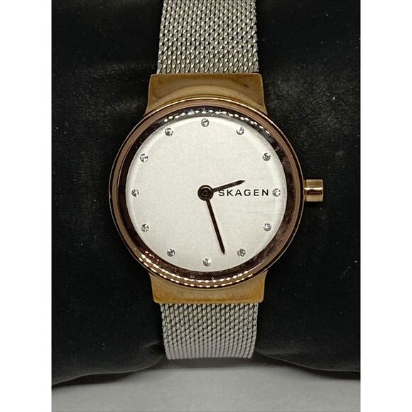 Skagen SKW1101 Women\'s stainless steel Mesh Analog Dial Quartz Wrist Watch JK636 main image 11